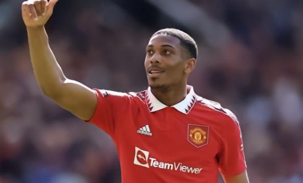 参考案例 参考案例